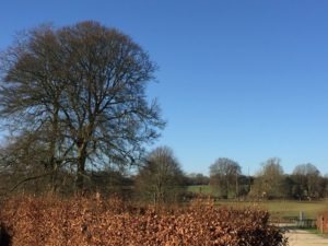 Image of outdoor scenery at Chilgrove Business Centre